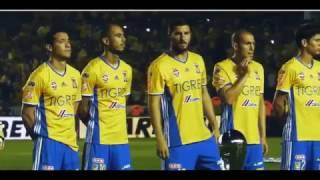 Tigres campeón 2016 - Video conmemorativo