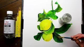 Hyper Realistic Lemon Drawings with Jennifer Morrison | Blick Art Materials