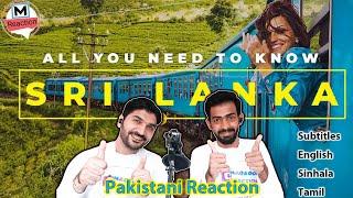 Pakistani reaction on Ultimate Sri Lanka Travel Guide | Colombo, Galle, Kandy | maqbool reaction