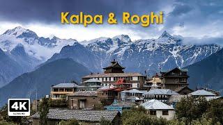 Kalpa, The Beauty of Himachal | View of Kinnaur Kailash | A Walk in Roghi Village