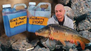 Black Pepper and Mulberry Hydro Fruitz , Home Made Soluble Boilies and Hook Baits