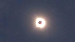 Total Eclipse DFW 2024