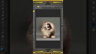 Best Way to Remove Complex Background in Photoshop #shorts #photoshop