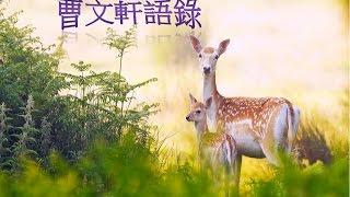 曹文軒語錄