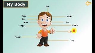English Language for First Grade Kids - Body Parts