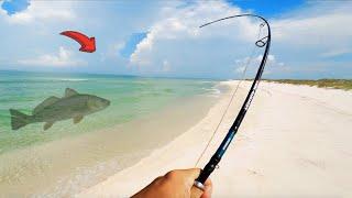 Sight Fishing a Beach MONSTER in Crystal Clear Water!