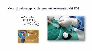 2. cuidado humanizado al paciente -  patricia obando