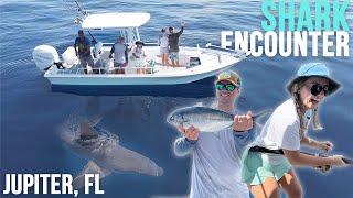 Offshore Fishing in Jupiter, Florida | A SHARK ZONE