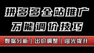 【运营技巧】拼多多全站推广万能调价技巧，单店亏5w的血泪经历整理出来的全站经验分享给大家