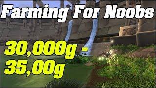 35,000 Gold Per Hour | Goldfarming For NOOBS