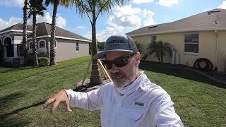 Empire Zoysia | Lawn Care Nut Zoysia Lawn Part 1