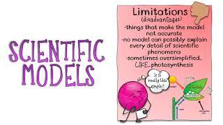 Scientific Models