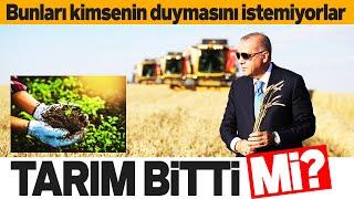 "TARIM BİTTİ" DİYORLARDI. KİMSENİN BİLMESİNİ İSTEMEDİĞİ GERÇEĞİ RAKAMLAR ORTAYA KOYDU. SESLİ MAKALE