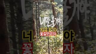 "원적산에서 만난 인생 문구… 마음을 울리다"