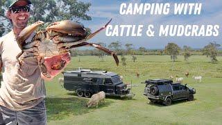 "Wild Camping with Cattle & Mud Crab Hunting"