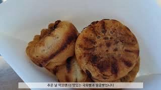 제주도 게스트하우스 스텝 제주도한달살기 우도땅콩 제주도 조용한게스트하우스