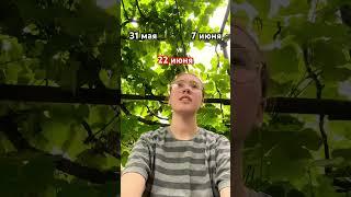 ОСТАЛОСЬ ВСЕГО ЛИШЬ 2 МЕСЯЦА  #юмор #жиза #shorts