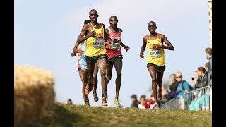 WORLD Cross Country Championship 2019 AARHUS (DEN)