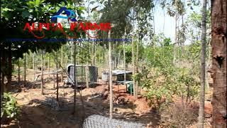 low budget farmland for sale in kanchipuram