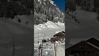 29 Dec 2024 // Solang valley snow update // manali tour  #manali #solangvalley #kullumanali #likes