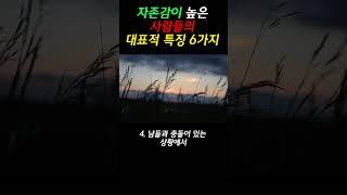 자존감이 높은 사람들의 대표적 특징 6가지 #명언 #오디오북 #인간관계 #지혜 #삶의지혜 #좋은글