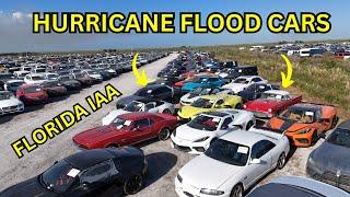 Tons of Hurricane Flooded Super Cars Florida IAA Worth Bidding on?