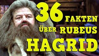 36 FAKTEN über RUBEUS HAGRID 