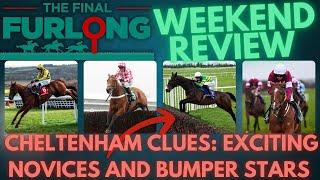 Cheltenham Clues: Majborough & Jango Baie Shine, Caldwell Flops, Exciting Novices & Bumper Stars