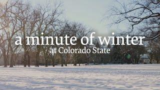 A minute of winter at Colorado State ️