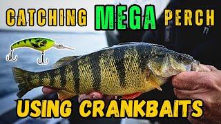 Unlocking the Secret to Catching Giant Perch on Crank baits