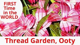 Garden of THREAD, FIRST Time in The WORLD| Amazing Art of THREAD| THREAD Garden Ooty