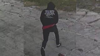 Delray Beach police seeking help identifying suspect in fatal shooting at Bi-Low Market