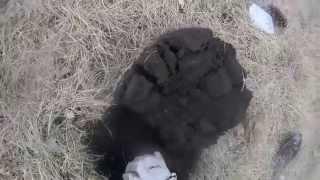 Detecting 1st Indian Head 2015 AT Pro