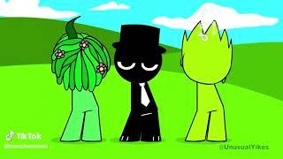 Vineria, Black & OWAKCX