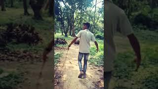  waking is forest my video share your comment