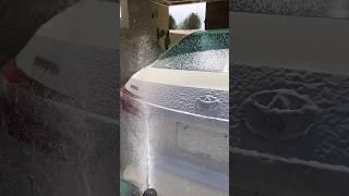 Car Shampoo #automobile #carcleaning #detailing #carwash #asmr #satisfying