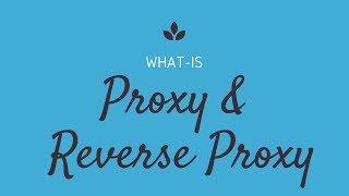 Proxy Server vs Reverse Proxy Server | Security | Tech Primers