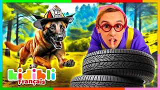 Je suis secouru par des Chiens Pompiers ! | Vidéos Educatives pour Enfants | Kidibli