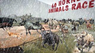 60 Horned Animals Race in Planet Zoo While Raining included Cow, Sheep, Deer, Buffalo, and Rhino