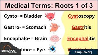 Medical Terminology MADE EASY: Root Words [Nursing, Students, Coding]