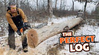 The Perfect Firewood Log—Exactly What I Needed