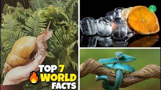 Top 7 Interesting Facts About The World | World Facts | Info Hifi