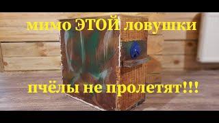 СЕКРЕТЫ ЛОВУШКИ ДЛЯ ПЧЁЛ!!!ИЛИ КАК ЛЕГКО И БЫСТРО ПОЙМАТЬ ПЧЁЛ!!!