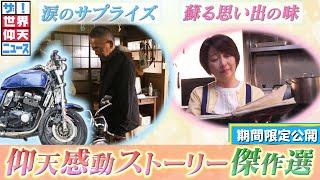 【ザ！世界仰天ニュース】仰天感動ストーリー傑作選