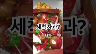 아침에 밥대신 사과 너무 좋습니다 #애플 #사과 #세척사과 #다이어트식단