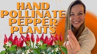 Hand-Pollinate Your Peppers In Minutes (And Prevent Flower Drop!)