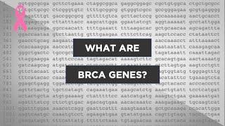 Evo-Ed: How do the BRCA genes cause breast cancer?