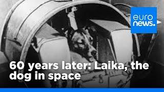 60 years on - Laika the dog in space | euronews 