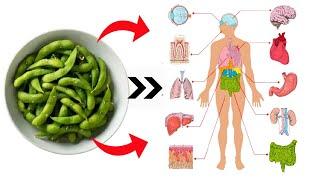 8 Essential Edamame Health Benefits || Benefits of Eating Edamame Beans