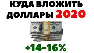 Инвестиции в долларах 2020. Куда инвестировать доллары в 2020 году?